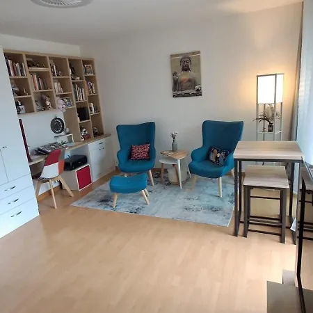 Charming T1 With Balcony In Appartement